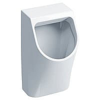 Geberit 300 urinals urinoir achterinlaat, wit
