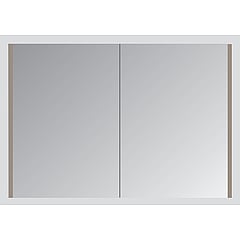 Sub spiegelkast met 1 deur en dubbelgespiegelde deur 60x60 cm