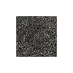 twvonen Composite vloertegel 120x120x0,9 cm, fine black