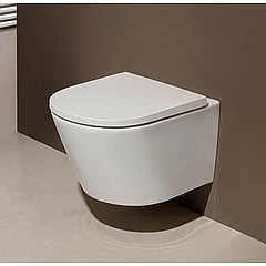 Sub Forza hangend toilet met toiletzitting, zerokal en cycloonspoeling 31,5 x 36,5 x 54 cm, wit