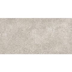Baldocer Cerámica Pierre keramische wandtegel natuursteenlook gerectificeerd gerectificeerd 30 x 60 cm, Grey
