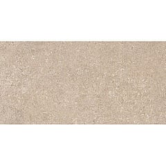 Baldocer Cerámica Pierre keramische wandtegel natuursteenlook gerectificeerd gerectificeerd 30 x 60 cm, Taupe