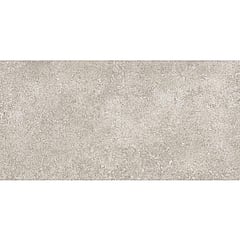 SAMPLE Baldocer Cerámica Pierre keramische wandtegel natuursteenlook gerectificeerd gerectificeerd 30 x 60 cm, Grey