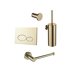 Regn toiletaccessoireset met toiletrolhouder, toiletborstel, handdoekhaak en bedieningsplaat, geborsteld goud