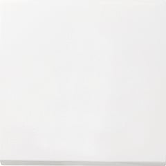 Gira F100 1-voudig kunststof inbouw drukvlakschakelaar wissel schakelaar, wit (RAL9010) 0126112 -