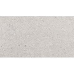 Pavigres Antica wandtegel 247 x 447mm, grey