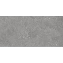 Rako Betonico vloer- en wandtegel 598 x 1198mm, grey
