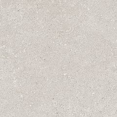 Ceramic-Apolo Eternal Stone vloer- en wandtegel 450 x 450mm, grey