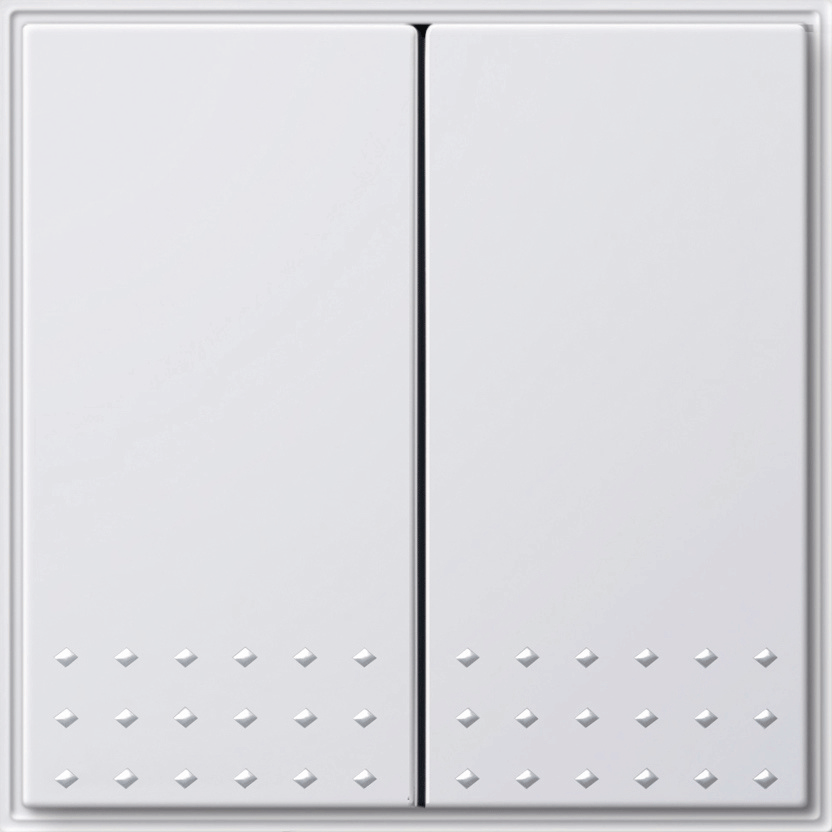 GIRA TX44 2-voudig kunststof inbouw drukvlakschakelaar serie schakelaar wit (RAL9010)
