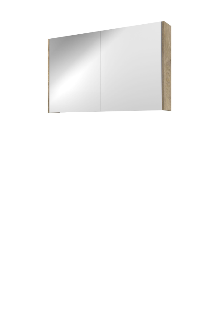 Proline Xcellent spiegelkast met 2 dubbel gespiegelde deuren 100 x 60 x 14 cm raw oak