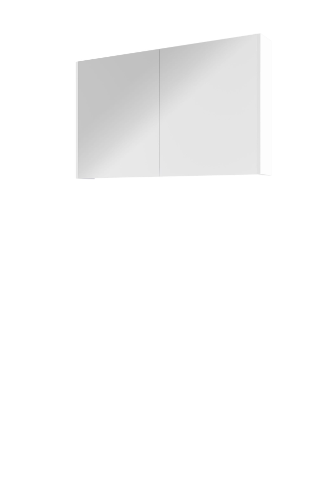 Proline Xcellent spiegelkast met 2 dubbel gespiegelde deuren 100 x 60 x 14 cm glans wit